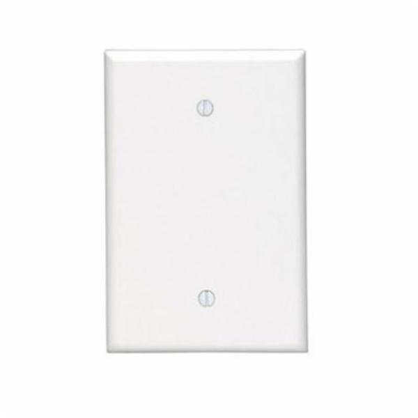 Leviton Wallplates 1G Jumbo Blank Iv 86114